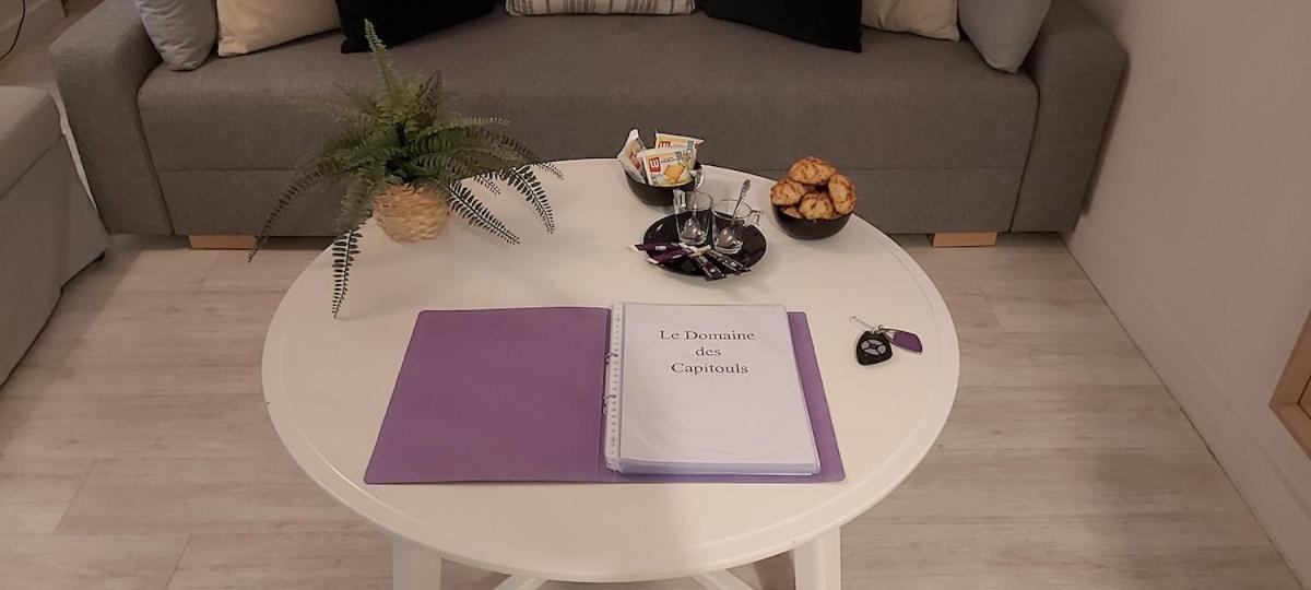 Les Capitouls - Avec Entree Autonome, Clim Neuve, Jardin, Parking Prive & Sa Piscine ! - Leilighet Toulouse Eksteriør bilde